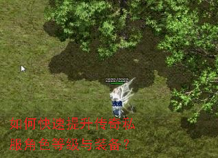 如何快速提升传奇私服角色等级与装备? 如何快速提升传奇私服角色等级与装备?