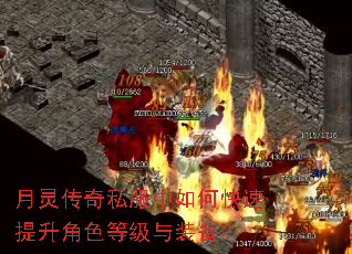 月灵传奇私服中如何快速提升角色等级与装备? 月灵传奇私服中如何快速提升角色等级与装备?
