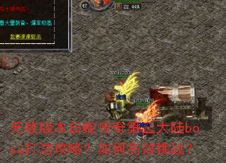 �޵а汾���ߴ��������½boss�򷨹��ԣ���θ�Ч��ս��