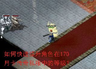 如何快速提升角色在170月卡传奇私服中的等级? 如何快速提升角色在170月卡传奇私服中的等级?