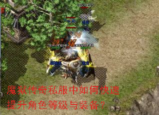 魔狱传奇私服中如何快速提升角色等级与装备? 魔狱传奇私服中如何快速提升角色等级与装备?