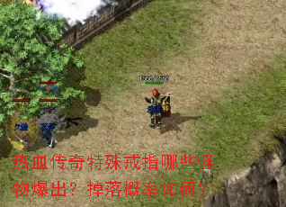 ��Ѫ���������ָ��Щ���ﱬ�������������Σ�