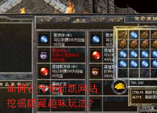 ����ڴ����¿���վ�ھ�����Ȥζ�淨��