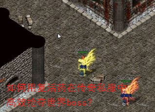 ����ø���ҩ�ڴ���˽���и�Ч��������boss��