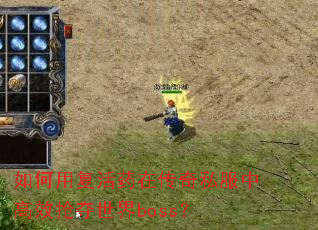 ����ø���ҩ�ڴ���˽���и�Ч��������boss��