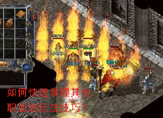 ��ο�����������ְҵ���淨���ɣ�