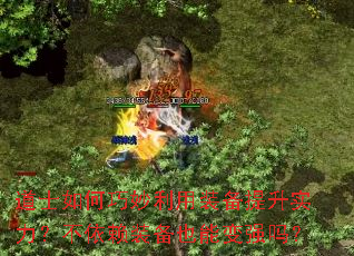 道士如何巧妙利用装备提升实力?不依赖装备也能变强吗? 道士如何巧妙利用装备提升实力?不依赖装备也能变强吗?