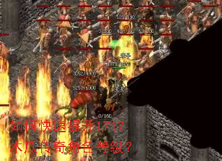 如何快速提升1717木瓜传奇角色等级? 如何快速提升1717木瓜传奇角色等级?