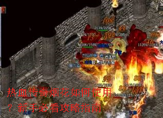 ��Ѫ�����̻����ʹ�ã����ֱؿ�����ָ��