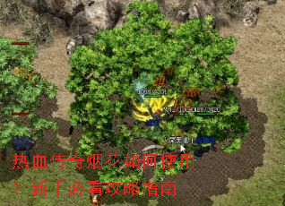 ��Ѫ�����̻����ʹ�ã����ֱؿ�����ָ��
