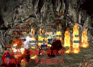���������ħ��θ�Ч�������飿���Լ���