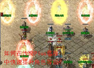 ����ڴ���Plus˽���п���������ɫ�ȼ���