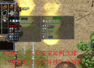 传奇1.70法师宝宝如何选择?宝宝升级与战斗技巧全解析 传奇1.70法师宝宝如何选择?宝宝升级与战斗技巧全解析