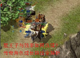 星王子与钱串如何选择?传奇角色成长路线全解析 星王子与钱串如何选择?传奇角色成长路线全解析
