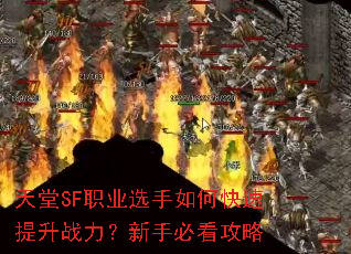 天堂SF职业选手如何快速提升战力?新手必看攻略 天堂SF职业选手如何快速提升战力?新手必看攻略