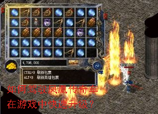 如何驾驭凤凰传奇车在游戏中快速升级? 如何驾驭凤凰传奇车在游戏中快速升级?