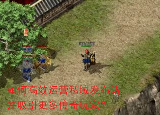 ��θ�Ч��Ӫ˽�򷢲�վ���������ഫ����ң�