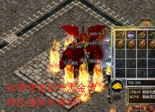 如何快速提升黑金传奇私服角色等级? 如何快速提升黑金传奇私服角色等级?