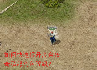 如何快速提升黑金传奇私服角色等级? 如何快速提升黑金传奇私服角色等级?