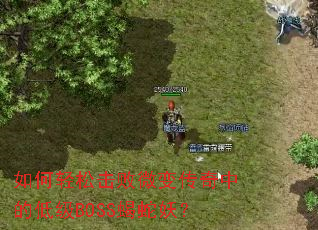 ������ɻ���΢�䴫���еĵͼ�BOSSЫ������