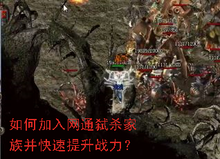 如何加入网通弑杀家族并快速提升战力? 如何加入网通弑杀家族并快速提升战力?
