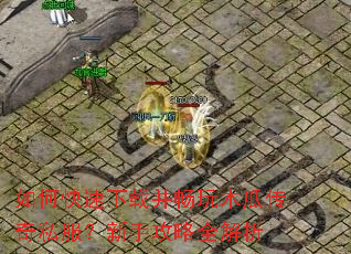 如何快速下载并畅玩木瓜传奇私服?新手攻略全解析 如何快速下载并畅玩木瓜传奇私服?新手攻略全解析