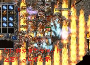 ��δ�Խ���Ŵ�������Թ�������ϸ���ԡ�